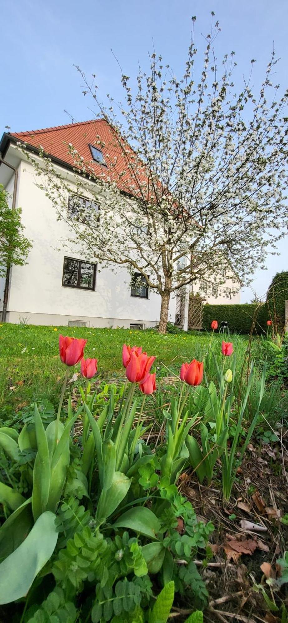 Allgaeu Retreat Bad Wörishofen Buitenkant foto